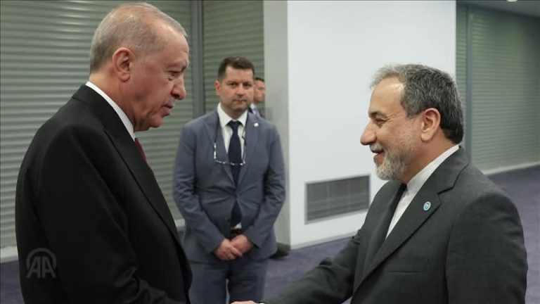 أردوغان يؤكد لعراقجي استعداد بلاده للتوسط في حل النزاع مع إسرائيل