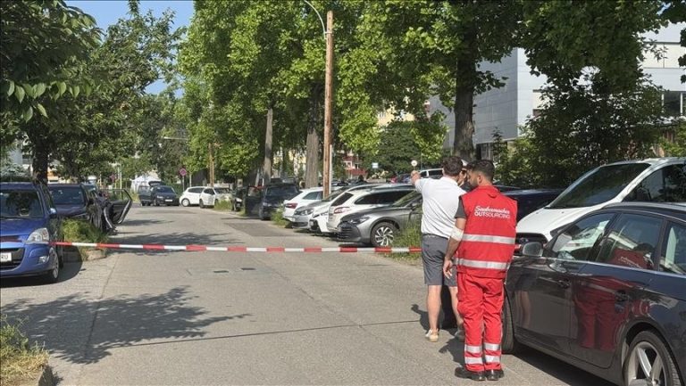 الدول العربية تدين حادث إطلاق النار في مدرسة غراتس بالنمسا