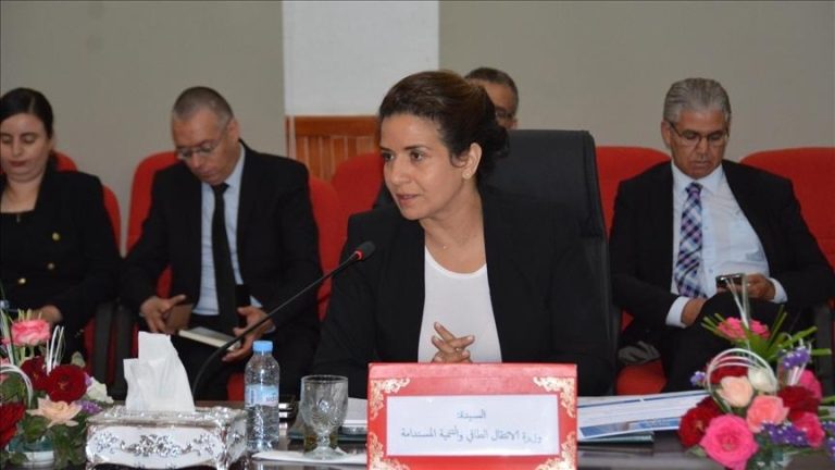 وزيرة الانتقال الطاقي المغربية تبحث تعزيز التعاون الثنائي في مجال الطاقة مع الوزير الفرنسي