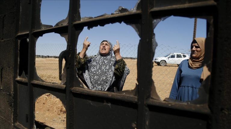 الخارجية المصرية تدين اعتداءات المستوطنين الإسرائيليين وتدعو لتحرك دولي عاجل لحماية الفلسطينيين