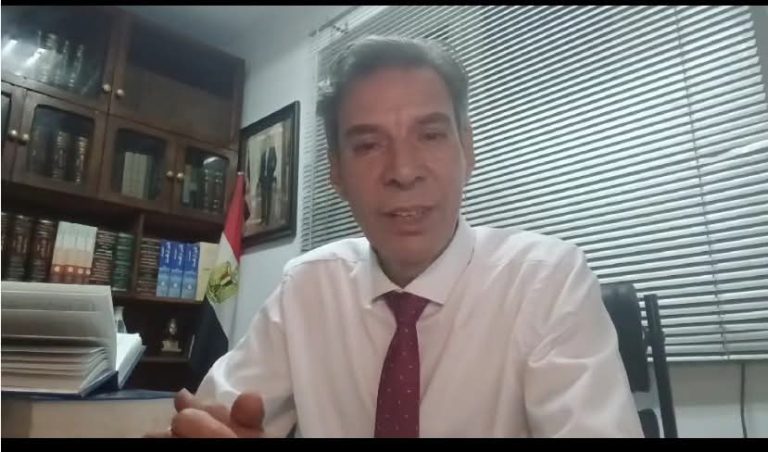 أسعد هيكل يكتب: تسمم أطفال دلجا وغياب المجالس المحلية