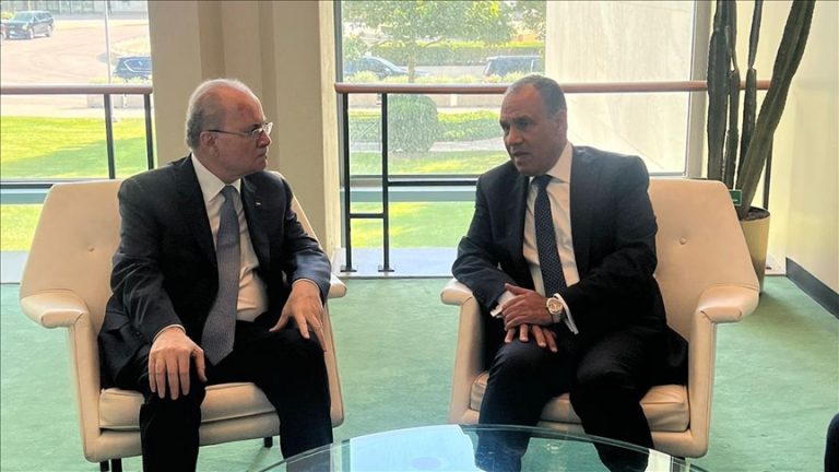 مصر تؤكد رفضها مخططات تهجير الفلسطينيين وتشدد على دعم حل الدولتين وإعمار غزة