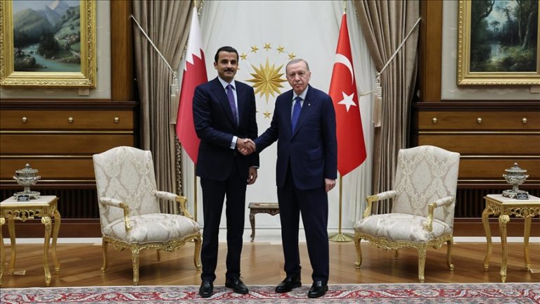 أمير قطر يهنئ الرئيس التركي بيوم الديمقراطية والوحدة الوطنية