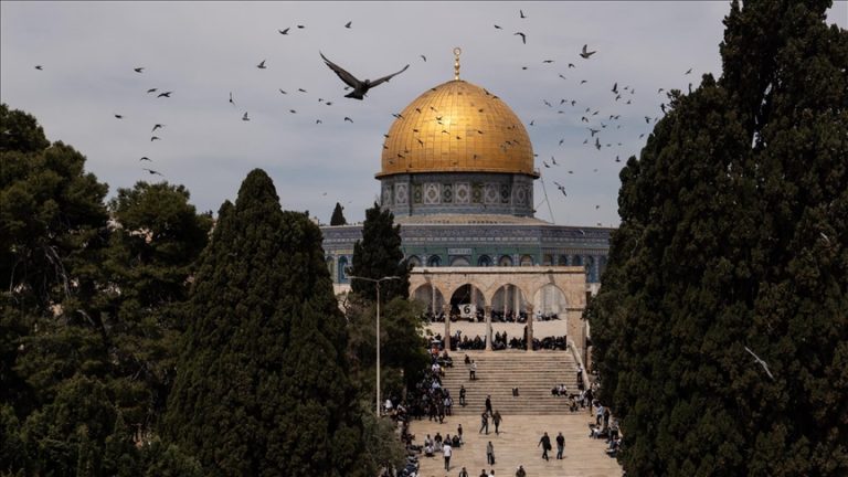 15 دولة غربية تطلق نداءً جماعيًا للاعتراف بدولة فلسطين ووقف الإبادة في غزة