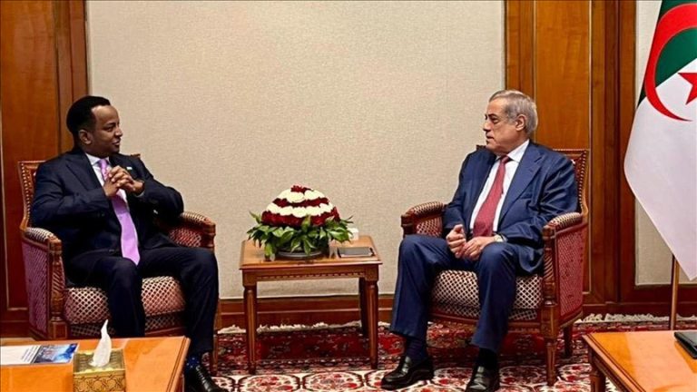 الجزائر والصومال تؤكدان التنسيق لدعم القضايا العربية وعلى رأسها فلسطين