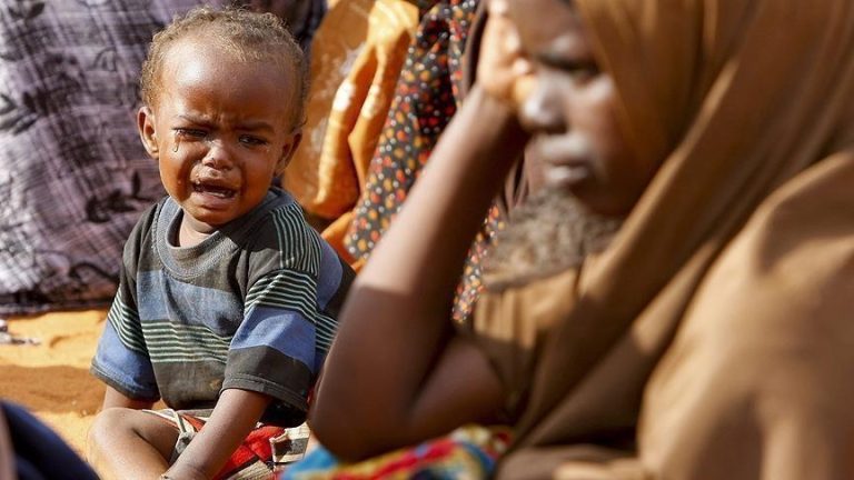 شبكة أطباء السودان: وفاة 46 شخصًا بسبب سوء التغذية بجنوب كردفان خلال شهرين