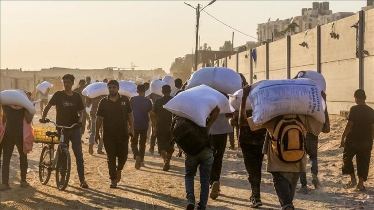 الأمم المتحدة: إسرائيل نفذت 11 هجومًا على عناصر تأمين المساعدات بغزة منذ مطلع أغسطس وأسفرت عن مقتل 46 فلسطينيًا