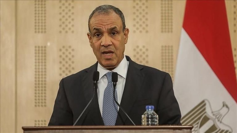 وزير الخارجية المصري: وفود فلسطينية وقطرية في القاهرة لبحث وقف الحرب على غزة