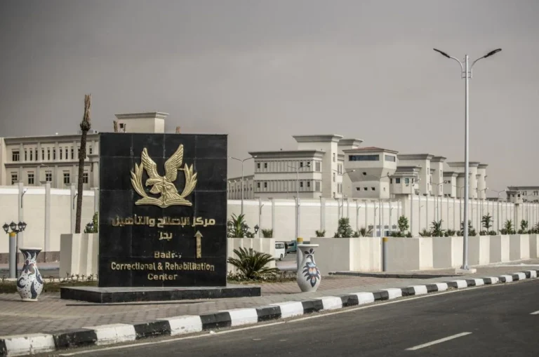 شخصيات عامة وأسر سجناء الرأى:نناشد الشعب المصري دعم مطالبنا العادلة بالإفراج الفوري عن السجناء السياسيين