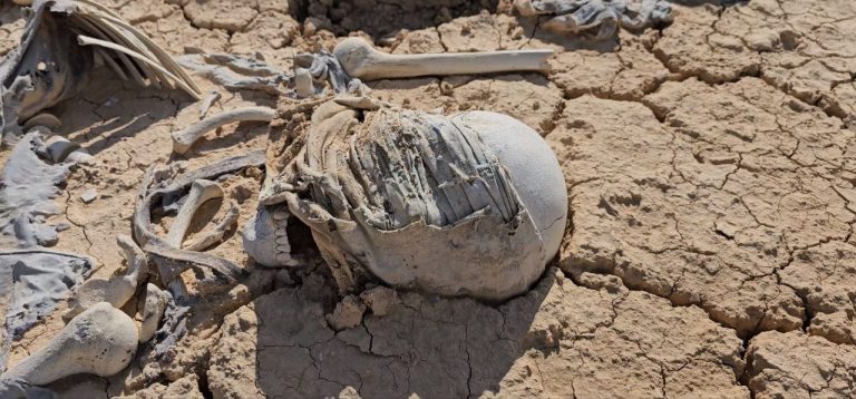 تقرير حقوقي: وثيقة مسرّبة تكشف نظرة رسمية تعتبر “البدوي الجيد هو الميت” وتبرّر الانتهاكات في سيناء