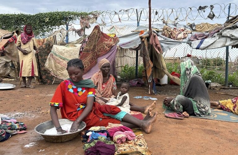 بسبب المجاعة..سكان مدينة الفاشر بالسودان يقتاتون على علف الحيوانات