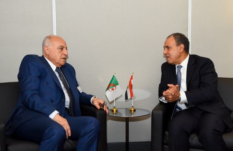 مباحثات مصرية جزائرية في قضايا التعاون الثنائي بين البلدين