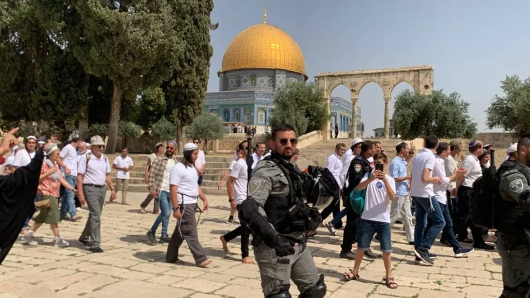 300 مستوطن يقتحمون باحات المسجد الأقصى