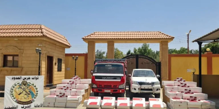 مصر.. القوات المسلحة تكثف جهودها في ضبط الحدود ضد العناصر الإجرامية