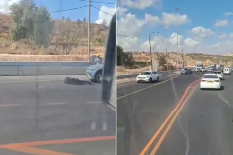 إصابة 3 إسرائيليين بعملية دهس وإطلاق نار قرب بيت لحم