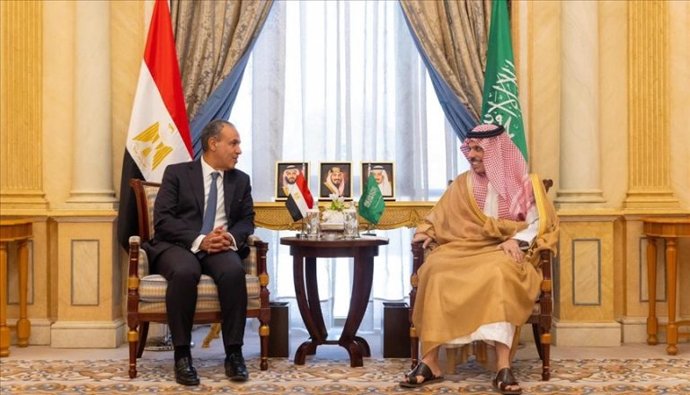 مصر والسعودية تبحثان الحشد للاعتراف بفلسطين وإنهاء الإبادة الإسرائيلية في غزة