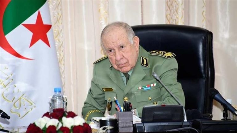 الجزائر وروسيا تبحثان تعزيز التعاون العسكري وسط توتر جيوسياسي