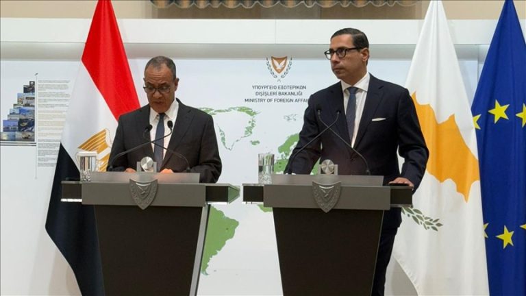 وزير الخارجية المصري بدر عبد العاطي: نرفض تهجير الفلسطينيين وندين جرائم الإبادة الإسرائيلية في غزة