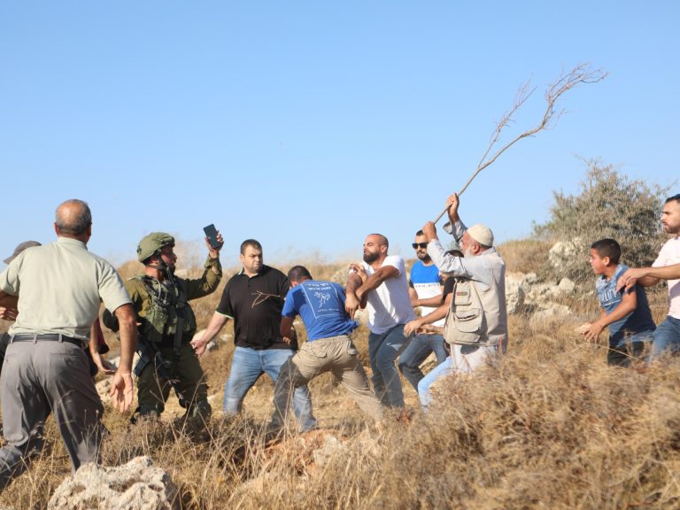ميدل إيست أى يكشف عن معاناة الفلسطينيين في موسم جمع الزيتون بسبب المستوطنين