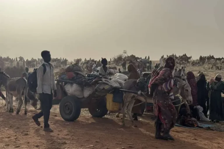 تحذير أممي: الجوع يتحول إلى “تهديد وجودي” للأمن الدولي.. وغزة والسودان في صدارة الكارثة