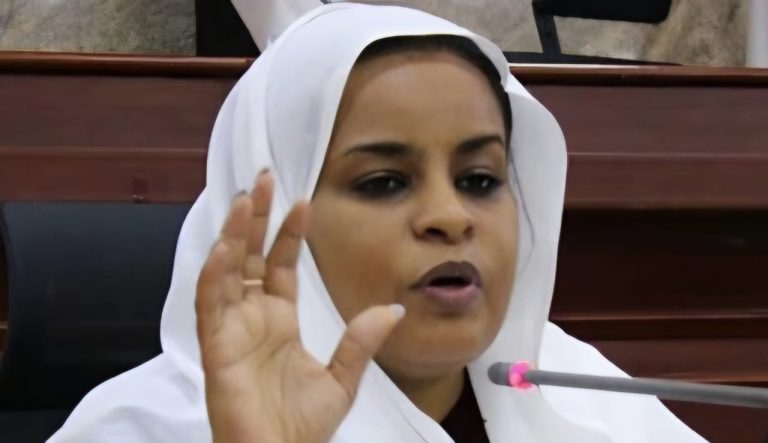 رئيس الحزب الديمقراطي الليبرالي يصدر بيانًا حول المجازر التي ارتكبتها مليشيا الدعم السريع في مدينة الفاشر