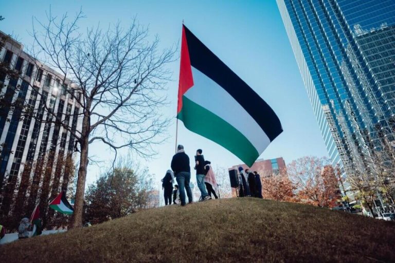 المجلس العربي يعقد ورشة عمل حول مستقبل فلسطين في ظل خطة الرئيس ترامب