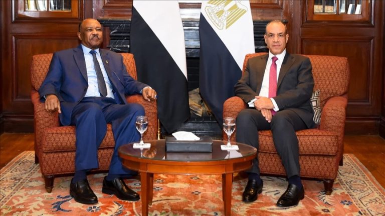 وزيرا خارجية مصر والسودان يبحثان في القاهرة تطورات الفاشر ويدعوان لوقف إطلاق النار