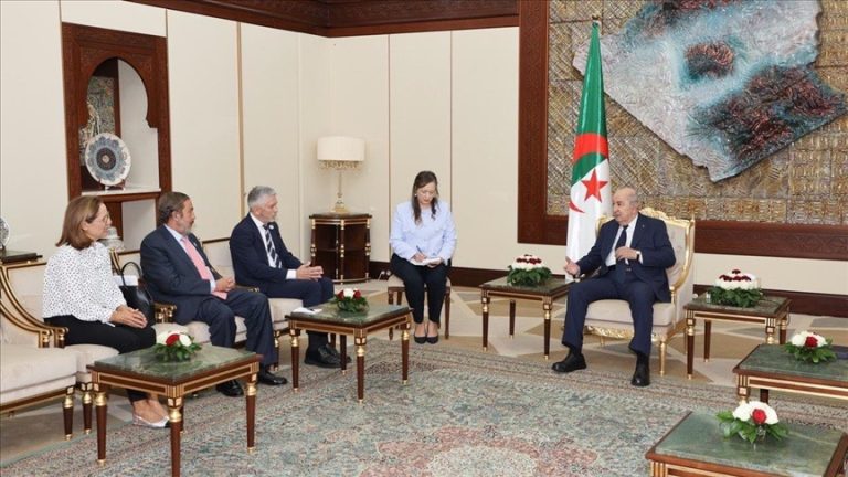 تبون يبحث مع وزير الداخلية الإسباني التعاون في مكافحة الإرهاب والهجرة غير النظامية
