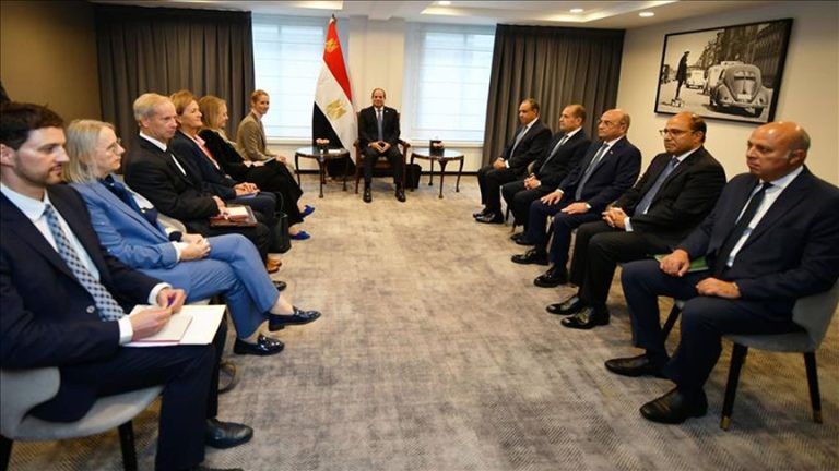 السيسي وكالاس يدعوان إلى تثبيت وقف إطلاق النار في غزة وتعزيز التعاون المصري الأوروبي