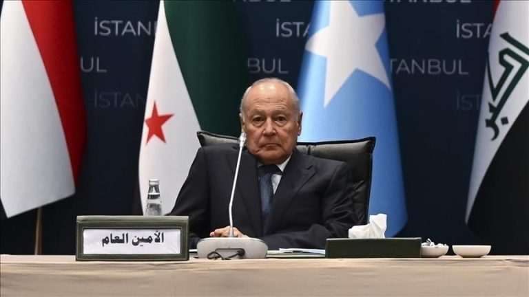 أبو الغيط: التمسك بانسحاب إسرائيل الكامل من الأراضي اللبنانية والإبادة في غزة “عار على الإنسانية”