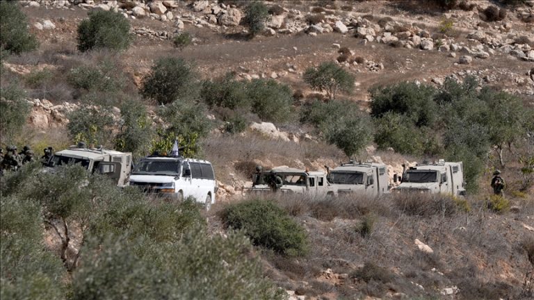 القمة المصرية الأوروبية في بروكسل: رفض قاطع لمحاولات إسرائيل ضمّ الأراضي الفلسطينية ودعم ثابت لحل الدولتين