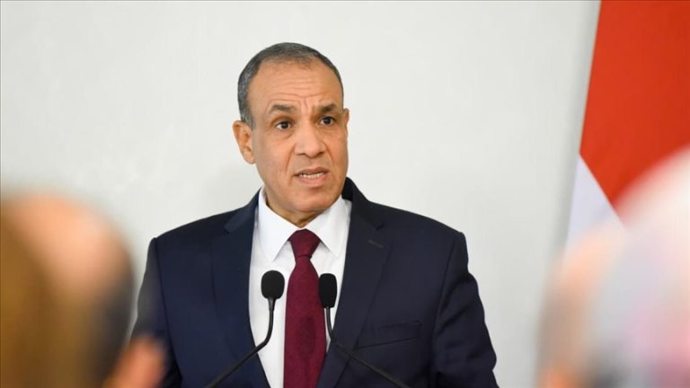 وزير الخارجية: النزاعات الجيوسياسية تضغط على الاقتصاد العالمي وتفاقم أعباء الدول النامية