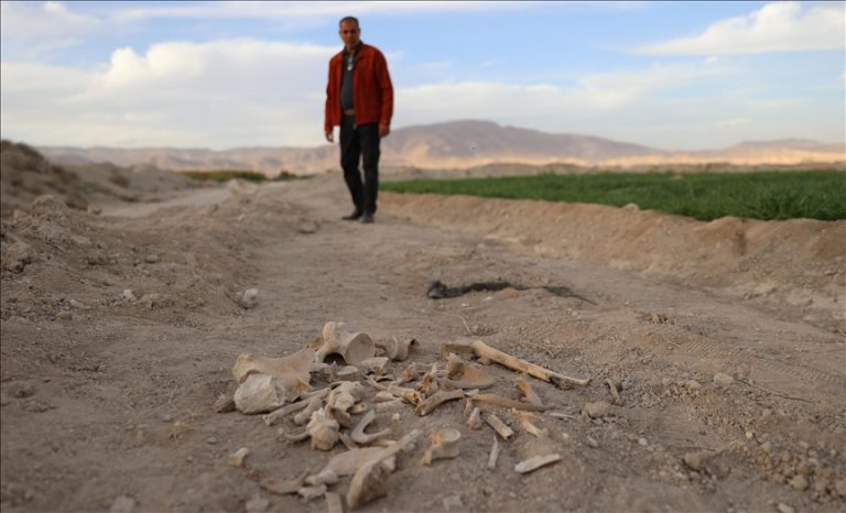 العثور على مقبرة جماعية تضم رفات 20 شخصًا شرق دوما بعد سقوط نظام الأسد
