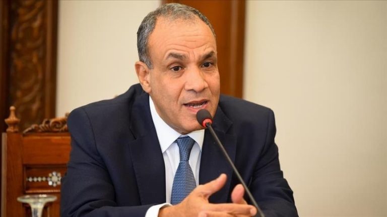 وزير الخارجية المصري يدعو إلى هدنة إنسانية في السودان تمهّد لعملية سياسية شاملة تحفظ وحدة البلاد