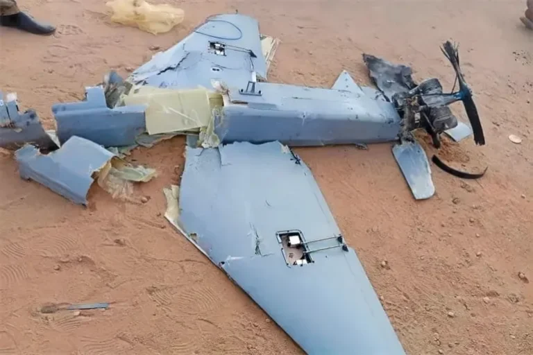 5 قتلى في هجوم بمسيّرة لقوات الدعم السريع على مدينة الدبّة شمالي السودان