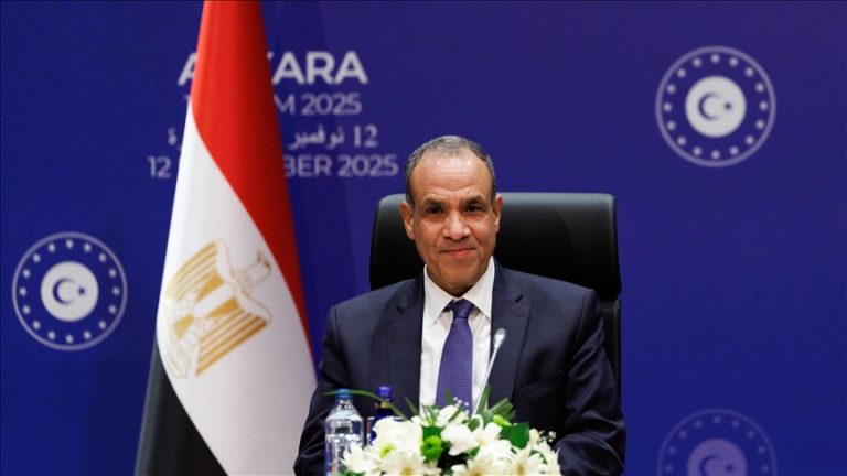 وزير الخارجية المصري: قوة الاستقرار الدولية في غزة لحفظ السلام لا لفرضه