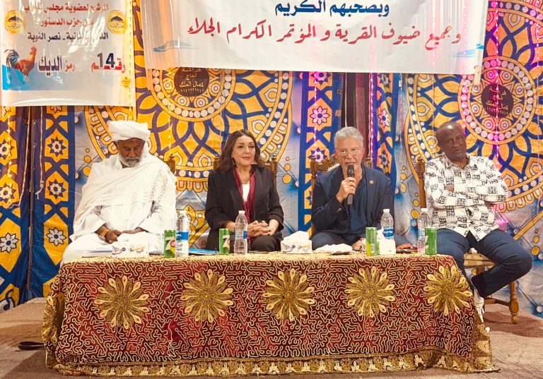 مرشح حزب الدستور عبد الصبور حسب الله يعقد مؤتمراً جماهيرياً كبيراً فى نصر النوبة