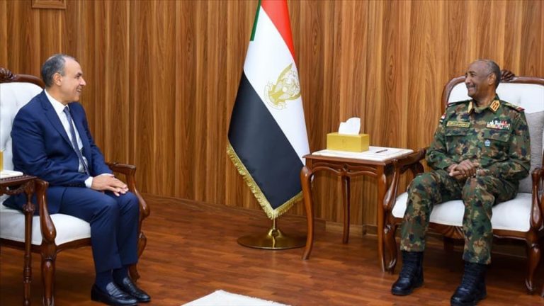 البرهان يبحث مع وزير الخارجية المصري الأوضاع في السودان والتصعيد في دارفور