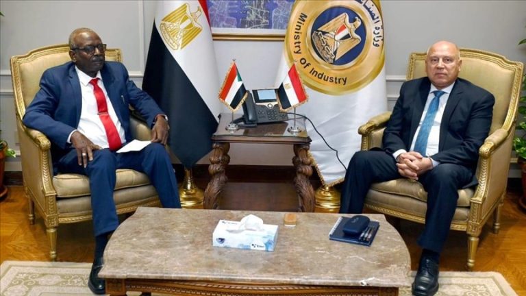 مصر والسودان يتفقان على صيانة جسور سودانية وتسهيل حركة الشاحنات بين البلدين