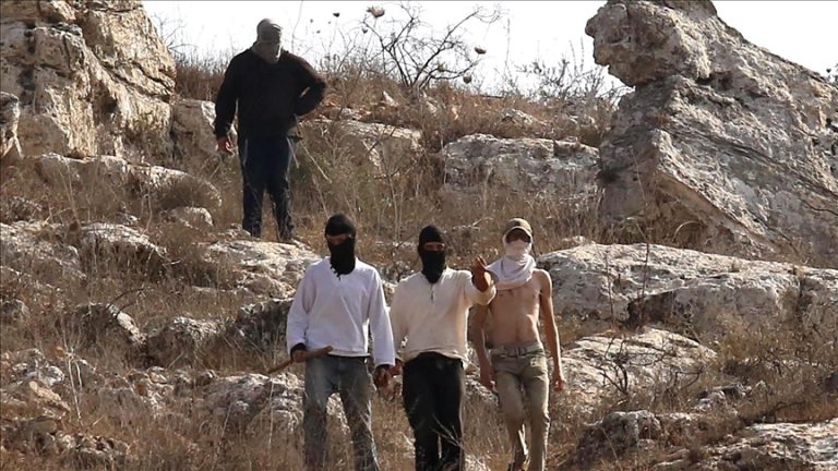 هآرتس: ارتفاع حاد في هجمات المستوطنين ضد الفلسطينيين بالضفة الغربية وتقاعس من الشرطة والشاباك