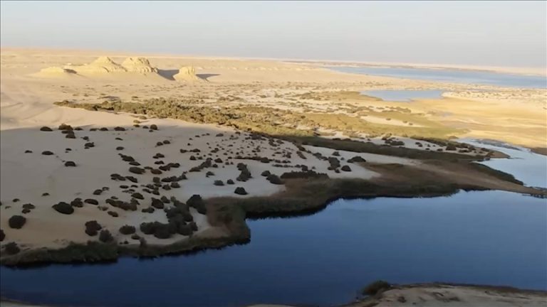وادي الحيتان.. كنز مصري نادر يجمع بين سحر الطبيعة وأسرار التاريخ