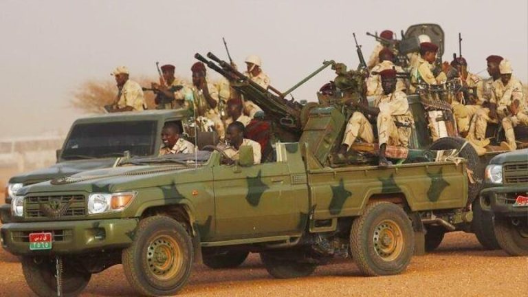 أكاديمي سوداني: الدعم السريع “مليشيا قبلية عنصرية” تعمل وفق أجندات خارجية لإضعاف الدولة