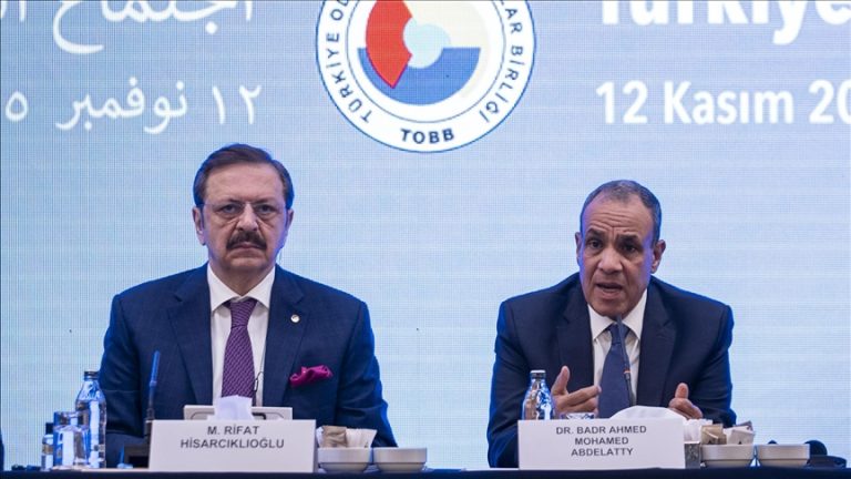 وزير الخارجية المصري: العلاقات الاقتصادية مع تركيا تشهد زخما غير مسبوق
