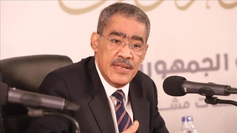 رشوان: تكليف القوة الدولية في غزة بنزع سلاح حماس سيؤدي إلى اشتباكات ولن تقبل به أي دولة