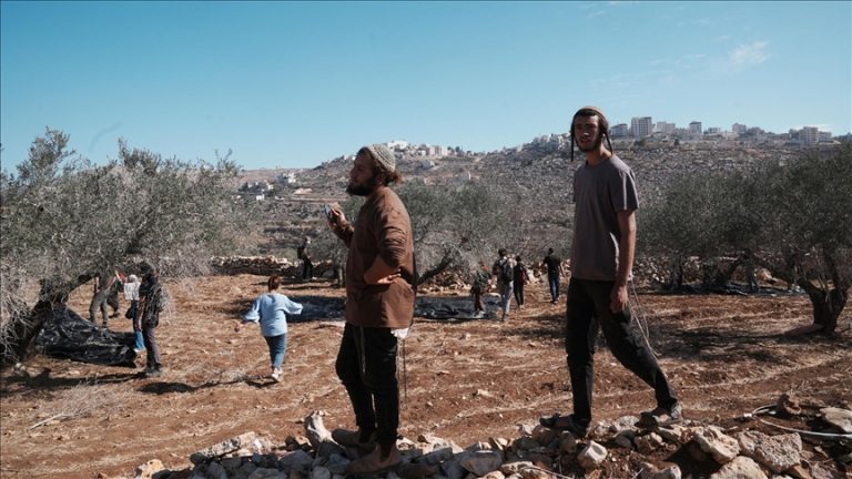 إصابات بين مزارعين وصحفيين ومتضامنين أجانب إثر اعتداء مستوطنين في بلدة بيتا جنوب نابلس