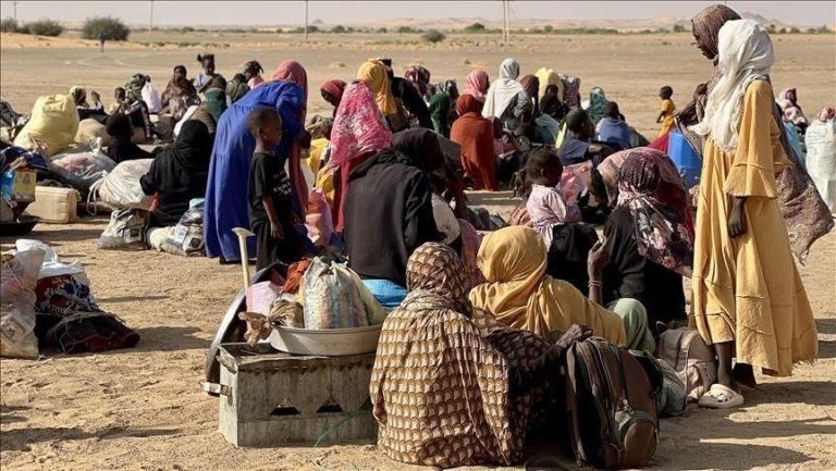 شبكة أطباء السودان تدعو لتدخل عاجل لإنقاذ 243 امرأة حامل نزحن من الفاشر
