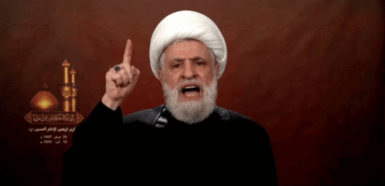 قاسم: وجود الجيش في الجنوب ربح لنا.. والمقاومة لن تتخلى عن سلاحها