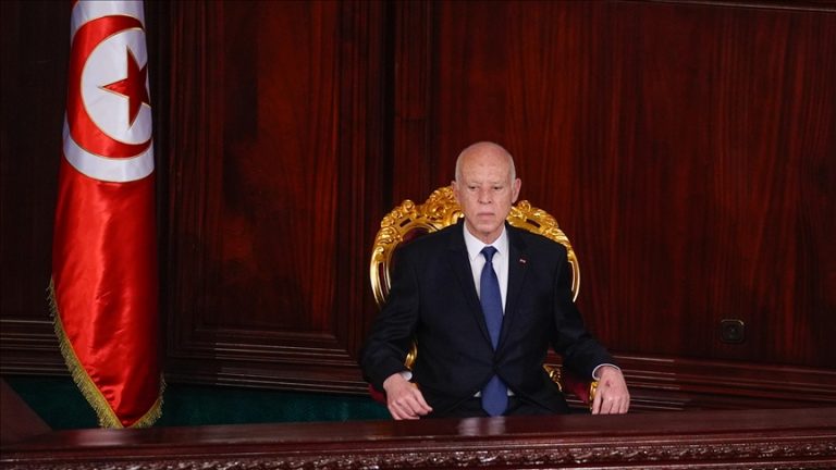 سعيّد يرفض إدراج الملف التونسي في البرلمان الأوروبي: “تدخّل سافر في السيادة الوطنية”
