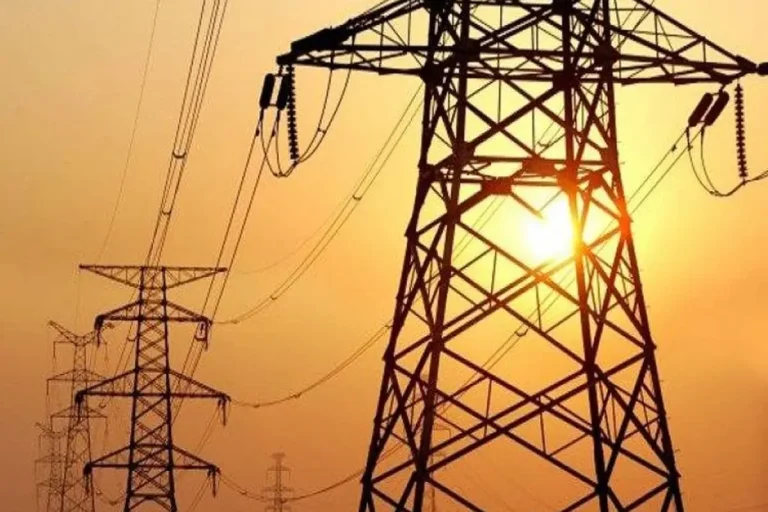 تشريعية الشيوخ تبحث تغليظ عقوبات الاستيلاء على الكهرباء.. وتعاون برلماني عربي في أروقة المجلس