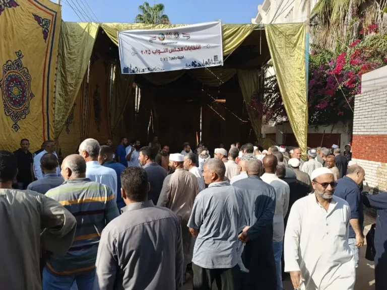 ضوابط جديدة لإعادة التصويت في 19 دائرة بعد إلغاء النتائج: أبرز ما ينص عليه قانون مباشرة الحقوق السياسية